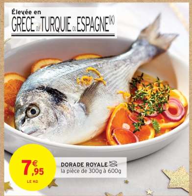 DORADE ROYALE