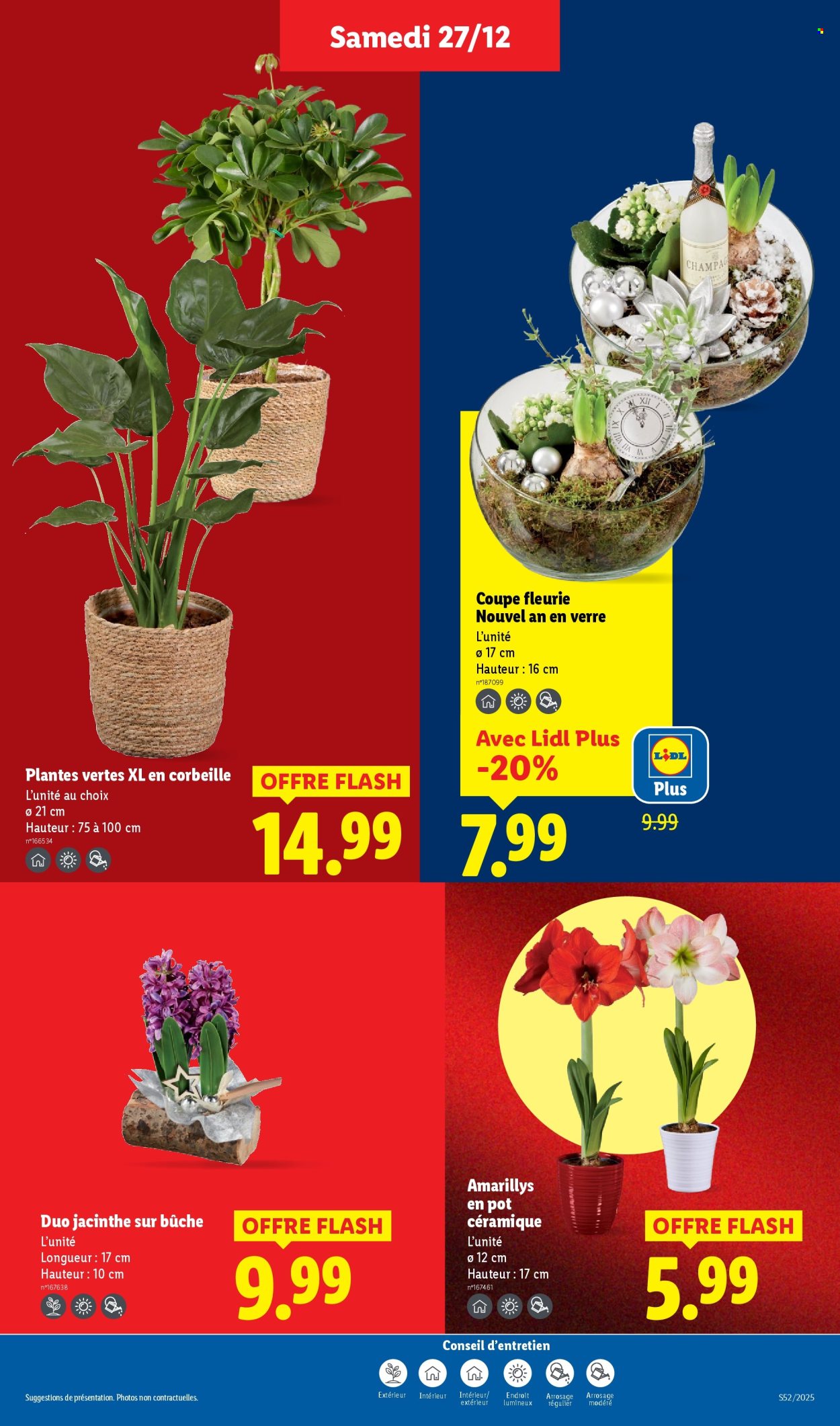 Catalogue Lidl - 27/12/2025 - 02/01/2026. Page 31