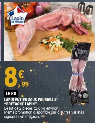 LAPIN ENTIER SOUS FOURREAU