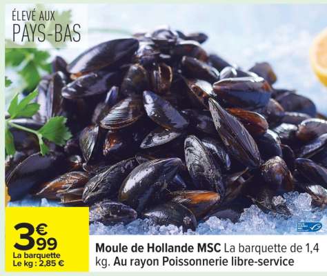 Moule de Hollande MSC