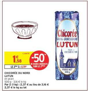 Chicorée du Nord Lutun