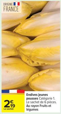 Endives Jeunes Pousses