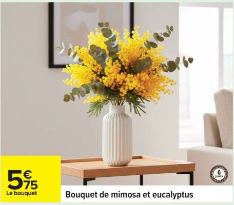 Bouquet de mimosa et eucalyptus