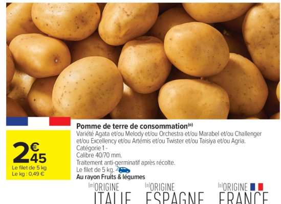POMME DE TERRE DE CONSOMMATION