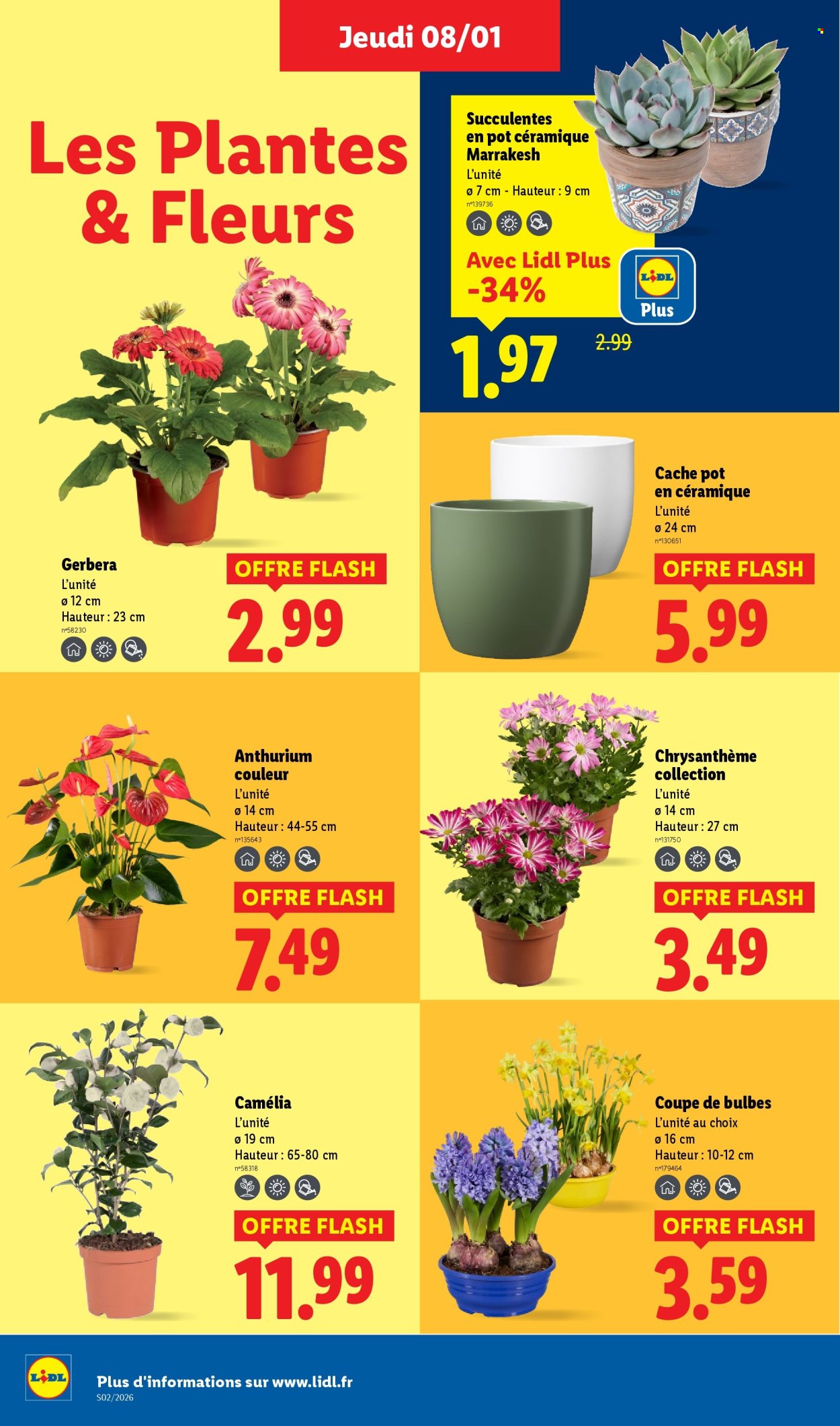 Catalogue Lidl - 08/01/2026 - 14/01/2026. Page 28