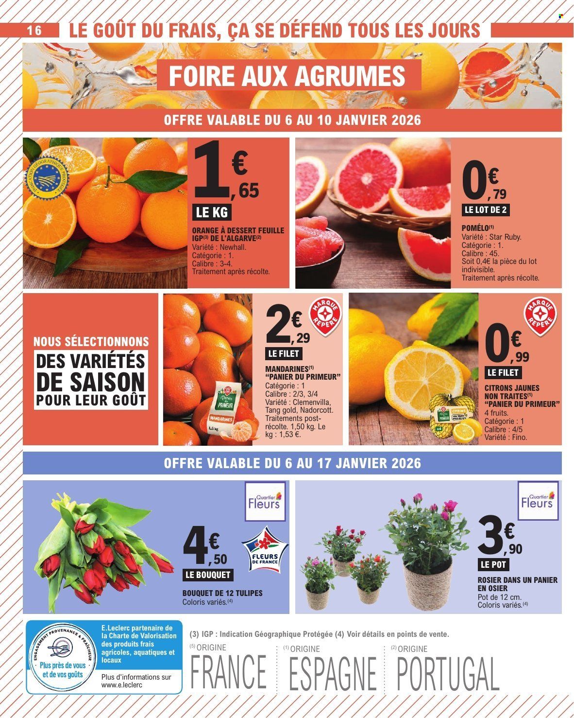 Catalogue E.Leclerc - 06/01/2026 - 17/01/2026. Page 16