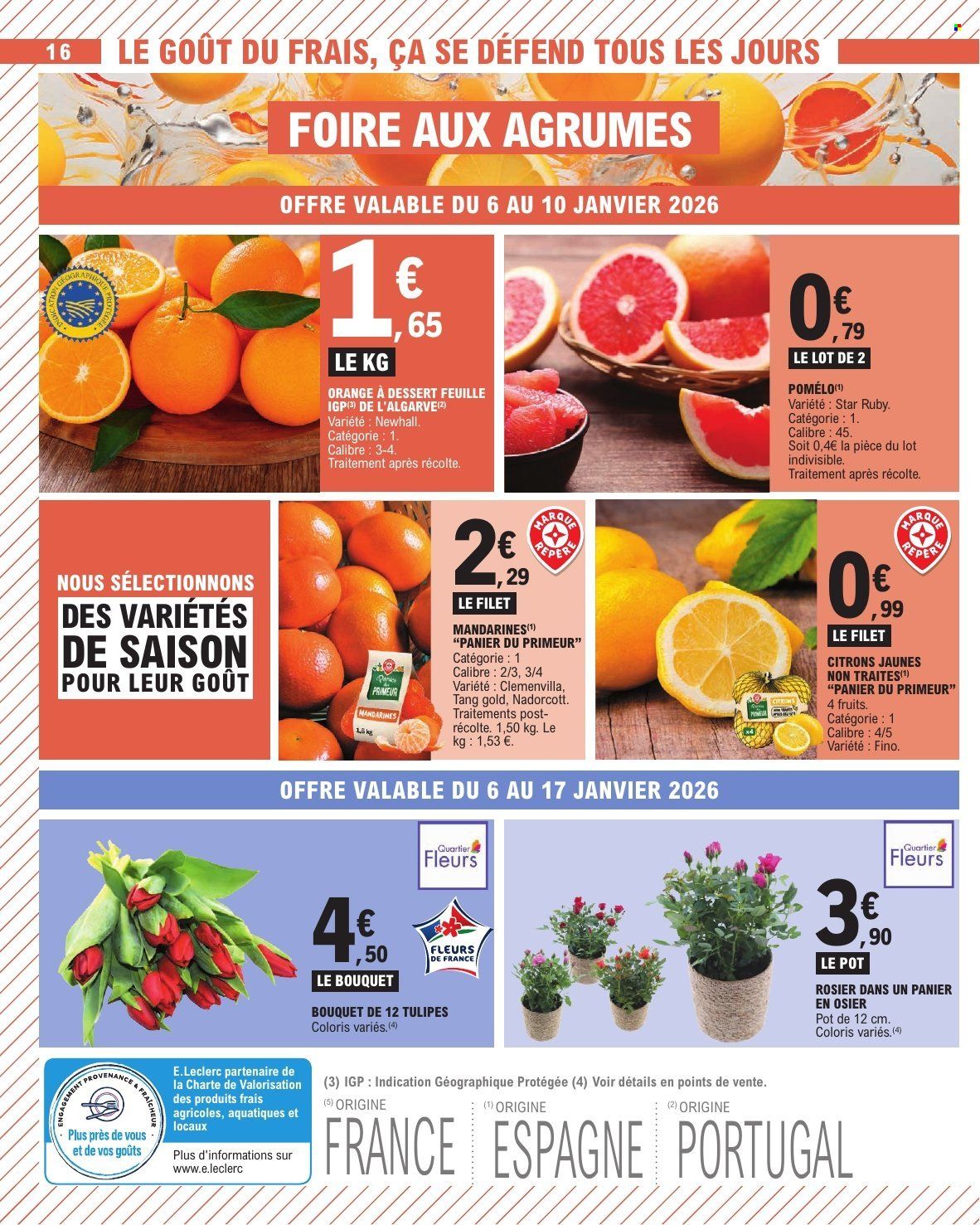 Catalogue E.Leclerc - 06/01/2026 - 17/01/2026. Page 16