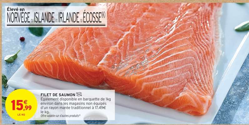 FILET DE SAUMON
