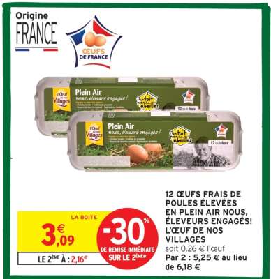 12 OEUFS FRAIS DE POULES ÉLEVÉES EN PLEIN AIR