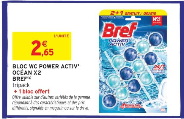 BLOC WC POWER ACTIV' OCÉAN X2 BREF