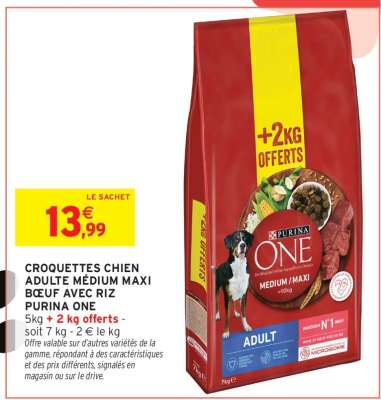 PURINA ONE Croquettes Chien Adulte Medium Maxi Bœuf avec Riz