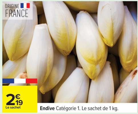 ENDIVE