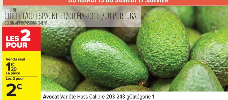 Avocat