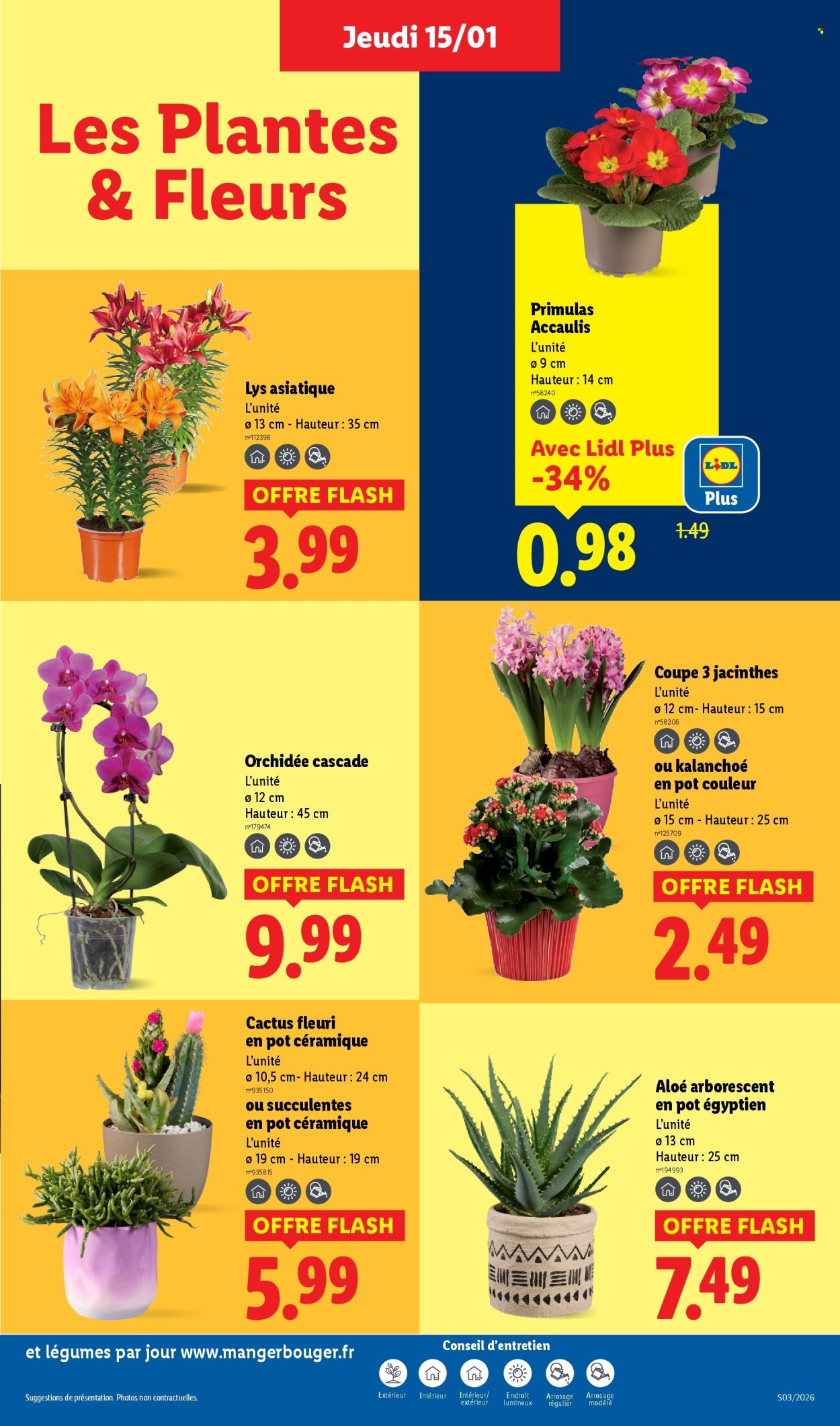 Catalogue Lidl - 15/01/2026 - 21/01/2026. Page 27