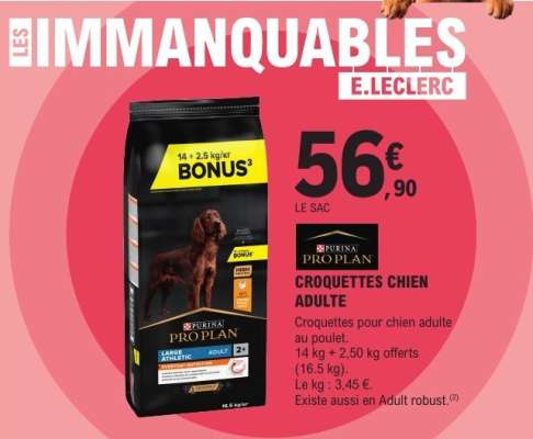Croquettes chien adulte