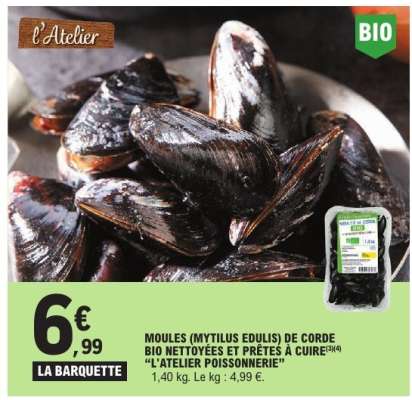 Moules (Mytilus edulis) de corde bio