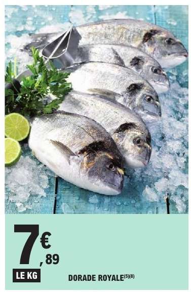 DORADE ROYALE