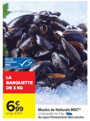 Moules de Hollande MSC
