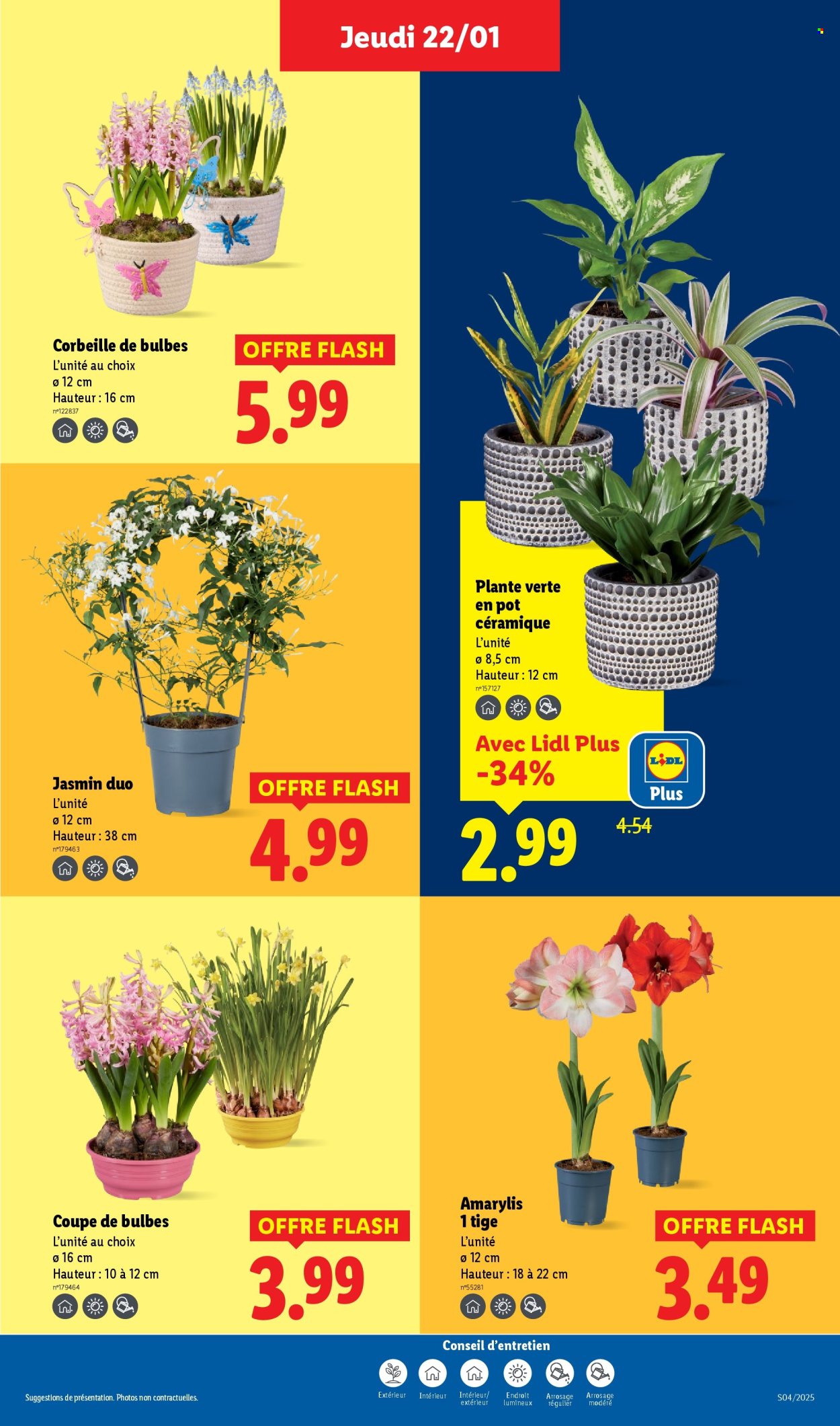 Catalogue Lidl - 22/01/2026 - 28/01/2026. Page 29