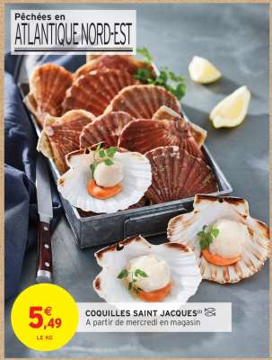 Coquilles Saint-Jacques