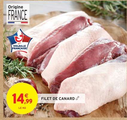 FILET DE CANARD