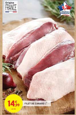 FILET DE CANARD