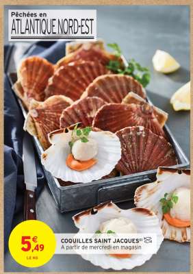 Coquilles Saint-Jacques