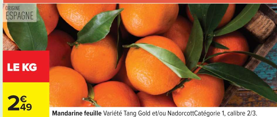MANDARINE FEUILLE