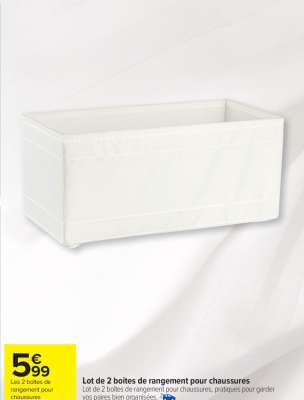Lot de 2 boîtes de rangement pour chaussures