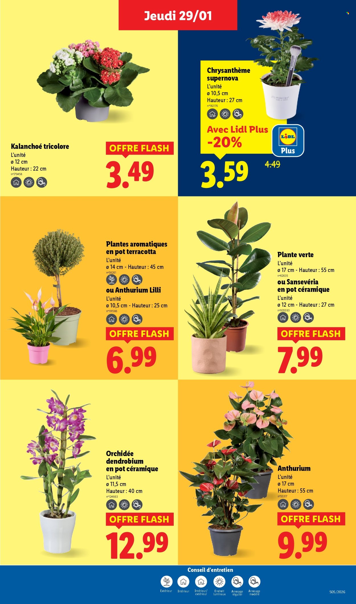 Catalogue Lidl - 29/01/2026 - 04/02/2026. Page 29