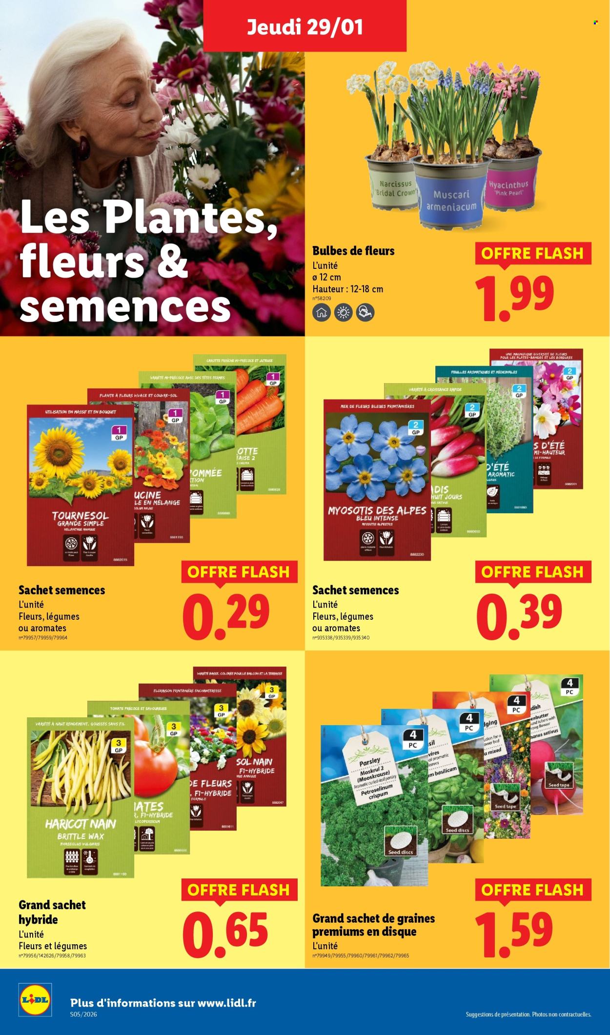 Catalogue Lidl - 29/01/2026 - 04/02/2026. Page 28