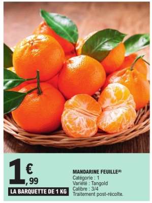 MANDARINE FEUILLE
