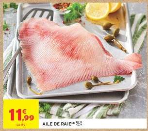 AILE DE RAIE