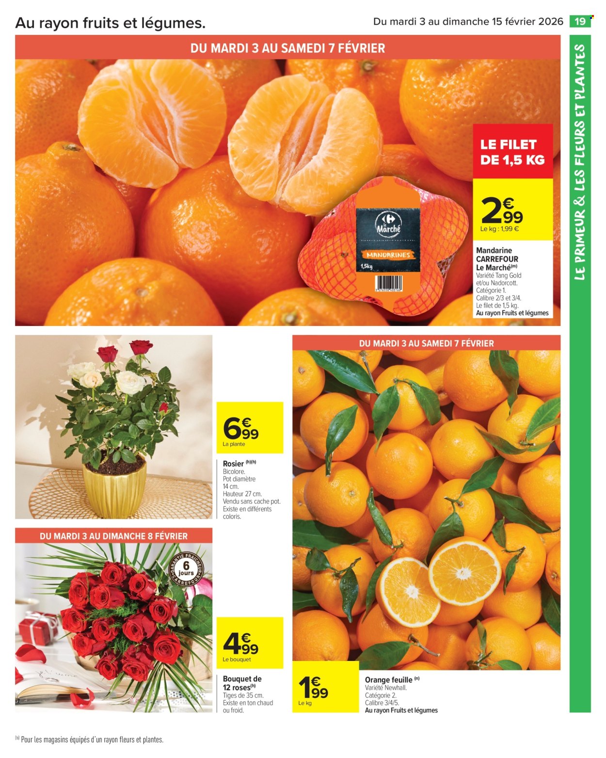 Catalogue Carrefour Market - 03/02/2026 - 15/02/2026. Page 21