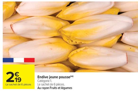Endive jeune pousse
