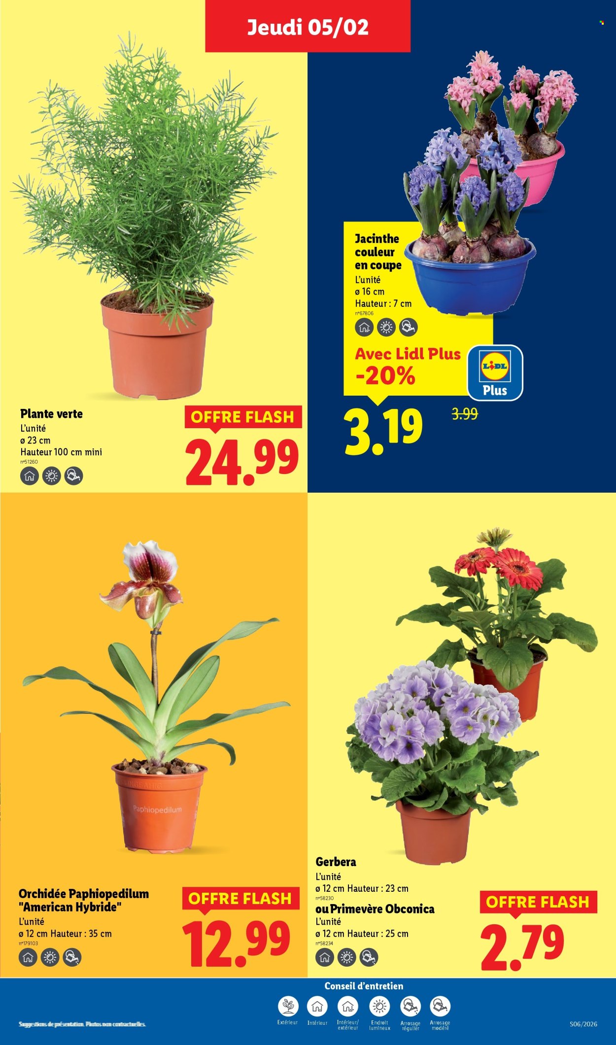 Catalogue Lidl - 05/02/2026 - 11/02/2026. Page 31