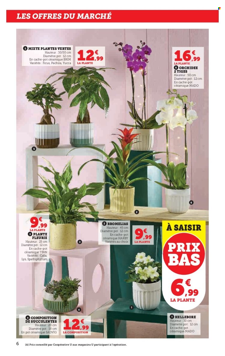 Catalogue SUPER U - 03/02/2026 - 15/02/2026. Page 6