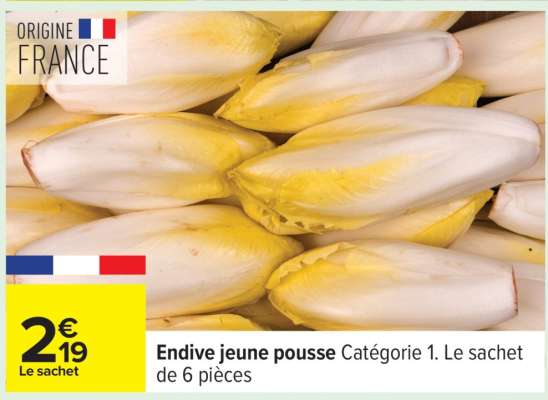 Endive jeune pousse