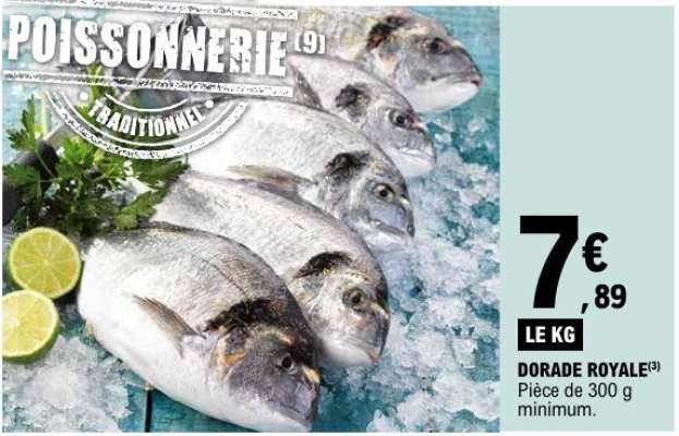 DORADE ROYALE