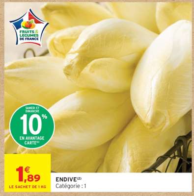 ENDIVE