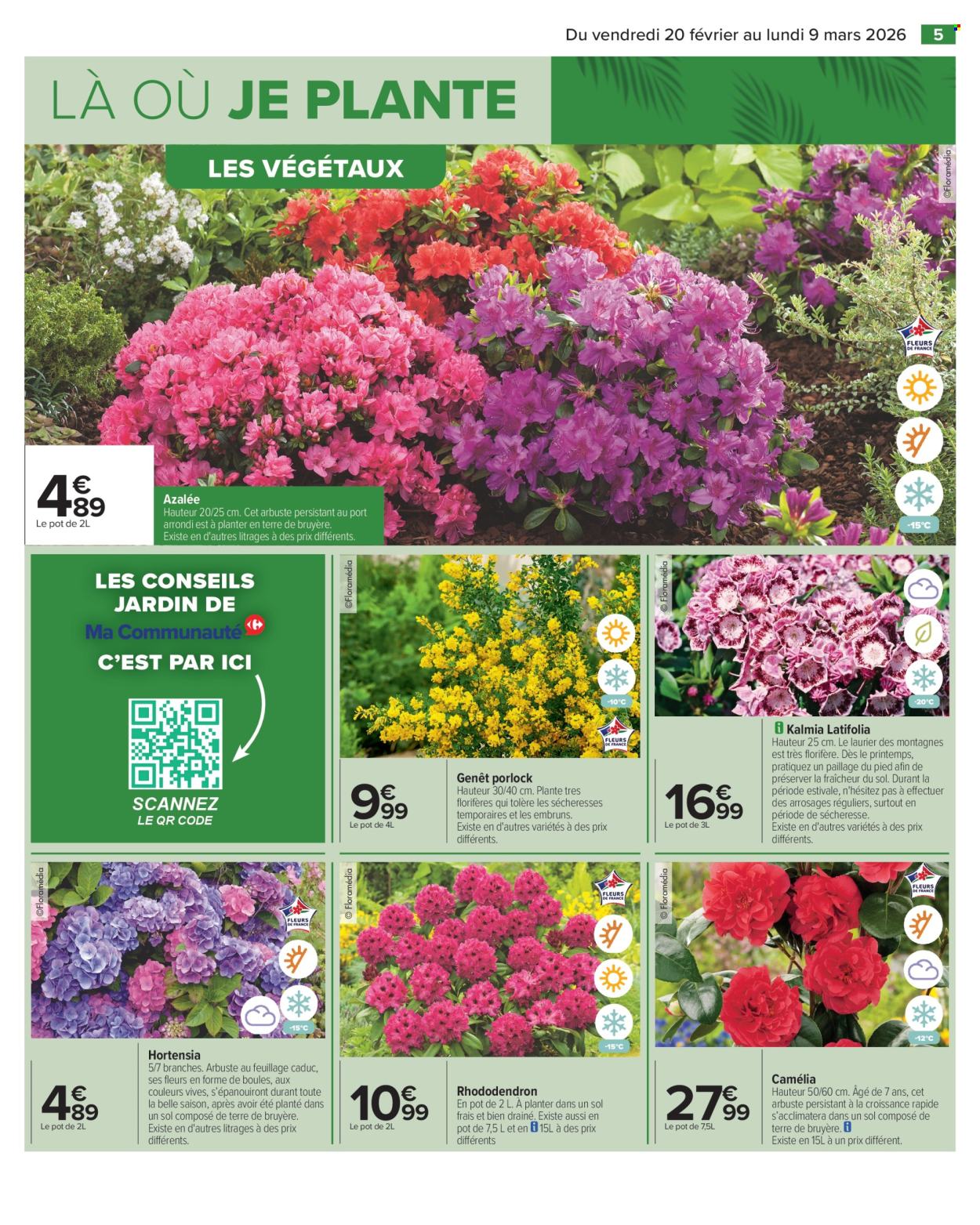 Catalogue Carrefour Hypermarchés - 20/02/2026 - 09/03/2026. Page 7