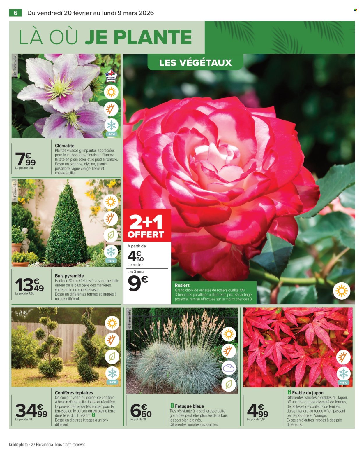 Catalogue Carrefour Hypermarchés - 20/02/2026 - 09/03/2026. Page 8