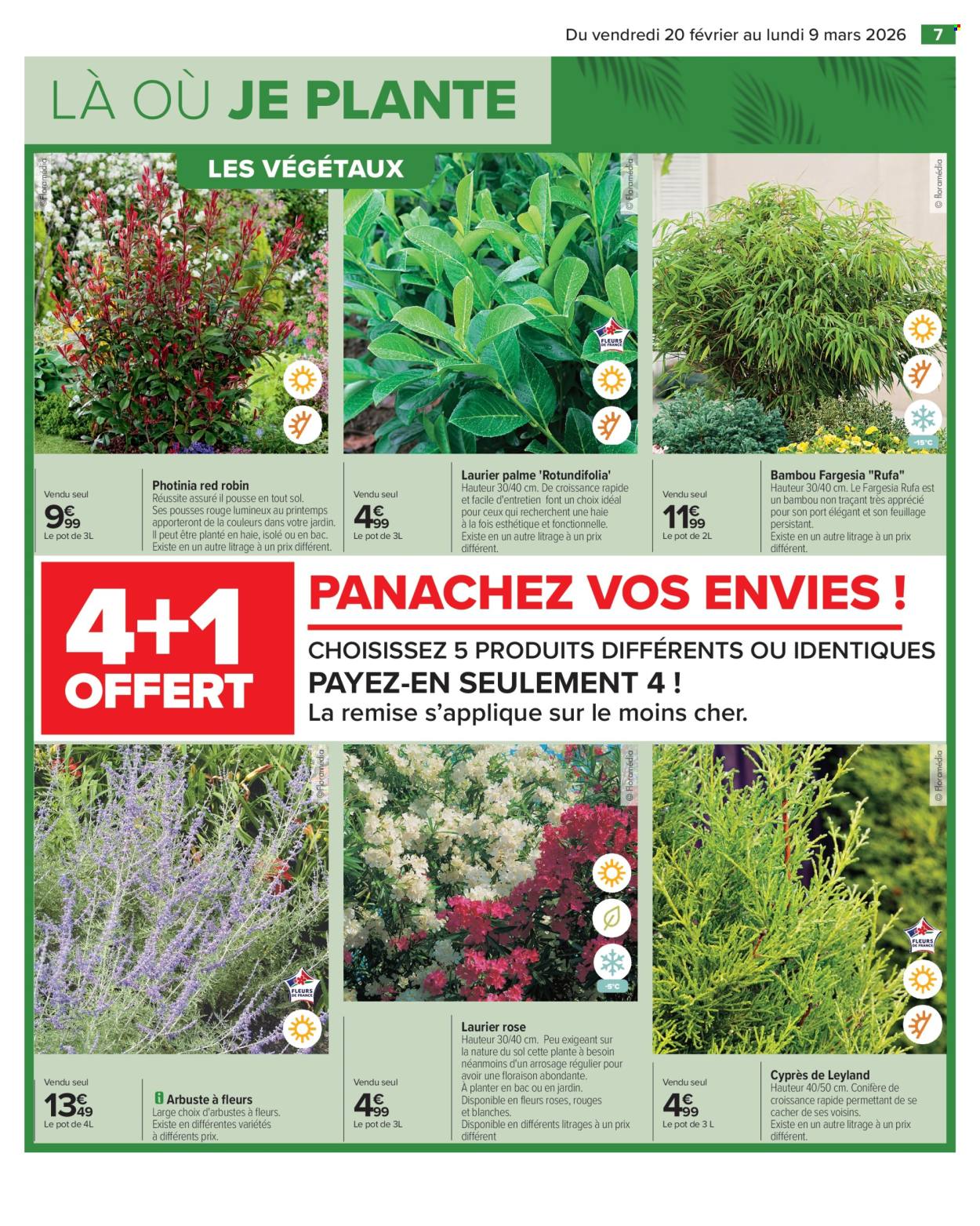 Catalogue Carrefour Hypermarchés - 20/02/2026 - 09/03/2026. Page 9