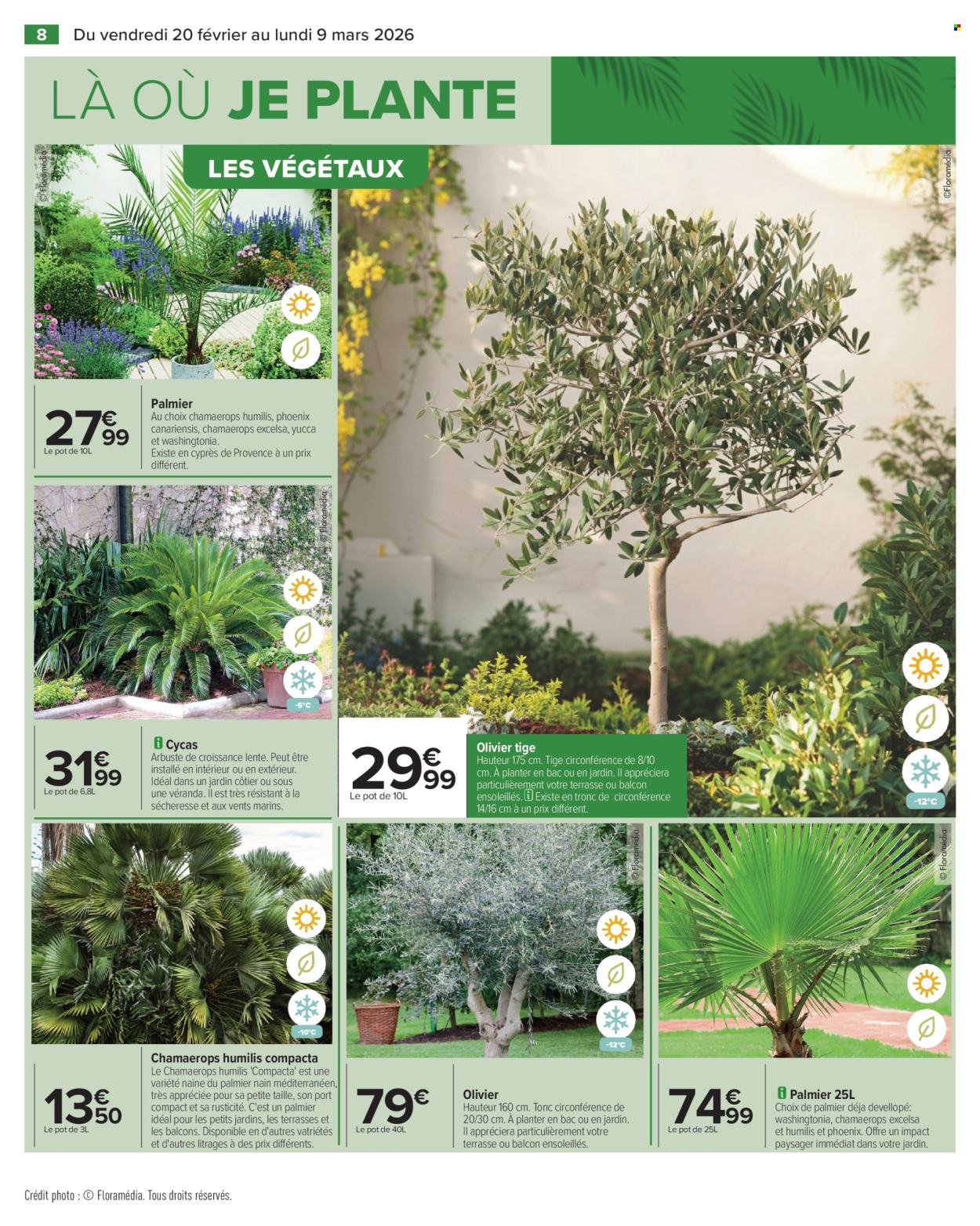 Catalogue Carrefour Hypermarchés - 20/02/2026 - 09/03/2026. Page 10