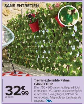 Treillis extensible Palma CARREFOUR