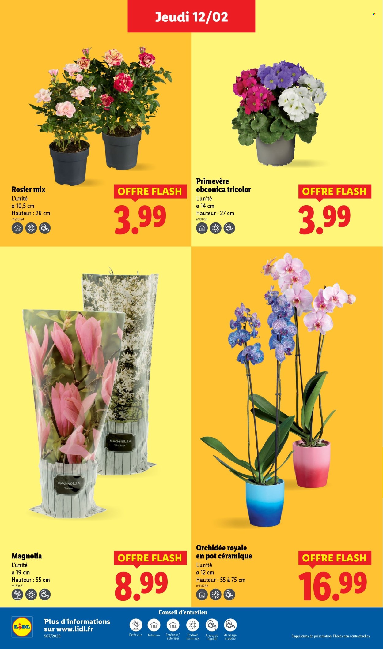 Catalogue Lidl - 12/02/2026 - 18/02/2026. Page 34