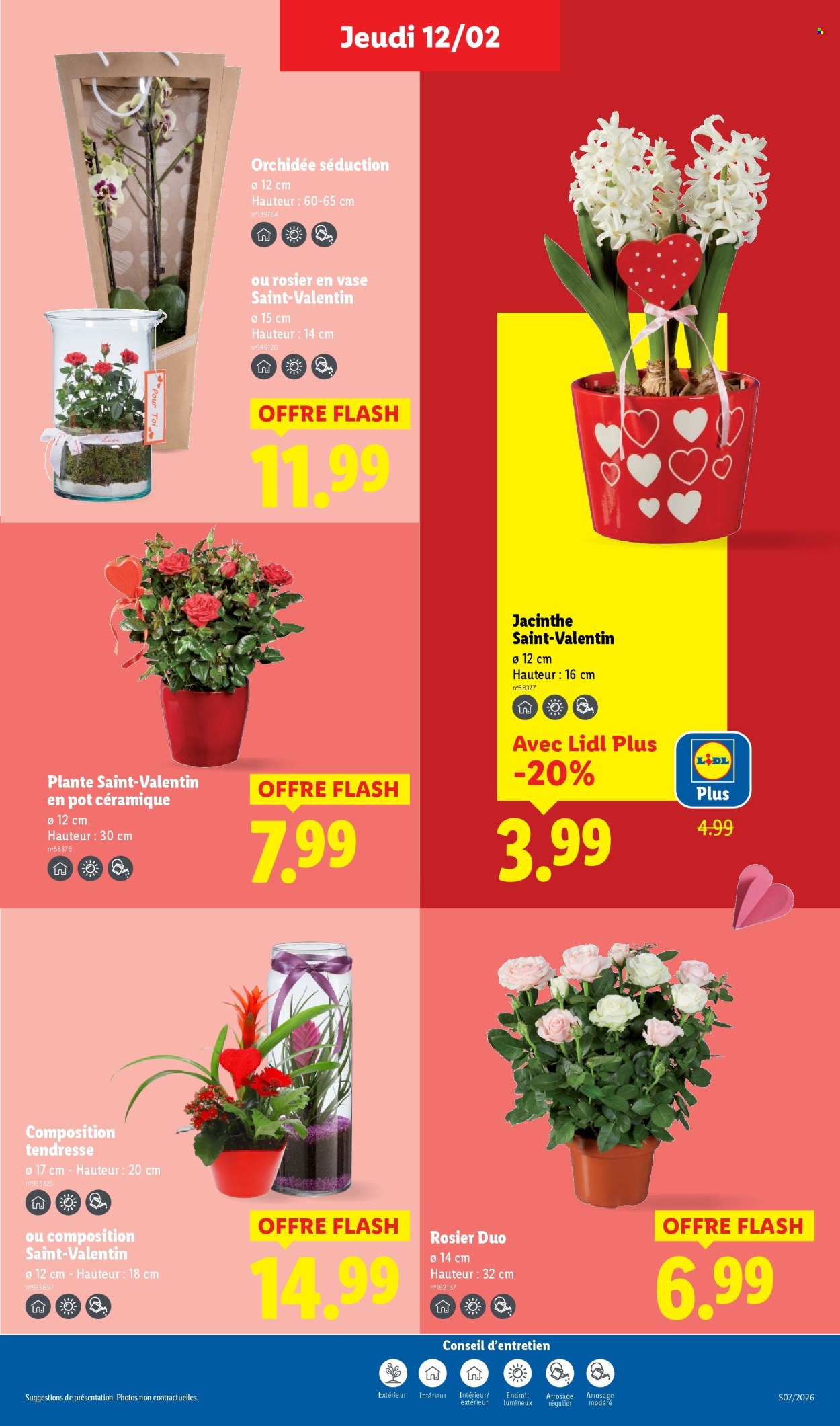 Catalogue Lidl - 12/02/2026 - 18/02/2026. Page 33