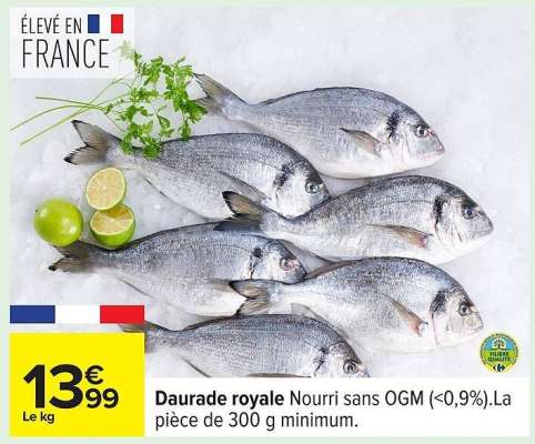Daurade royale