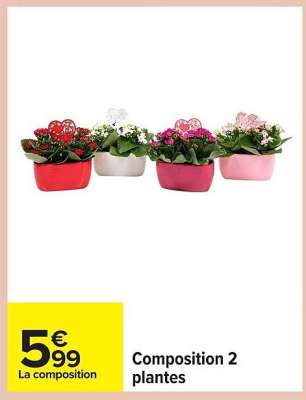 Composition 2 Plantes