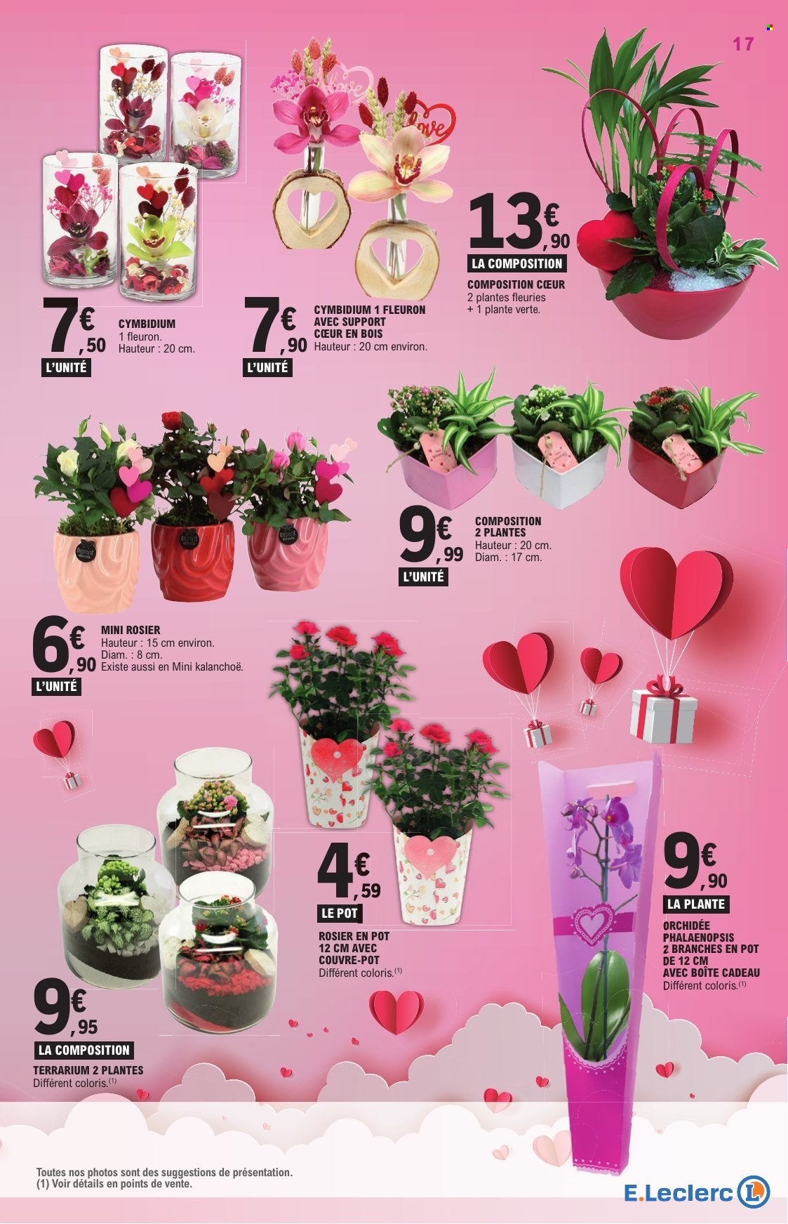 Catalogue E.Leclerc - 10/02/2026 - 21/02/2026. Page 17